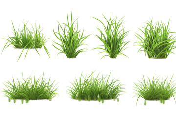 Realistic set of green grass sprouts - obrazy, fototapety, plakaty