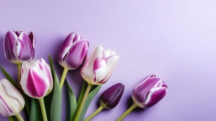 Fototapeta premium Bouquet of colorful spring flowers on purple background. Mothers day, Valentines Day, Easter concept. Greeting card. top view