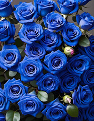A lot of beautiful blue rose flowers all over the place, for a beautiful bright wall background