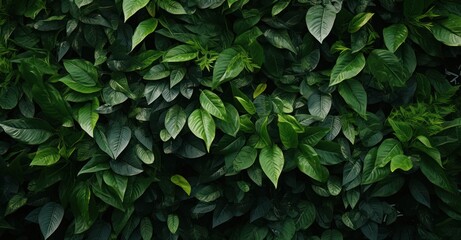 lush green foliage texture, showcasing detailed leaves and vibrant colors