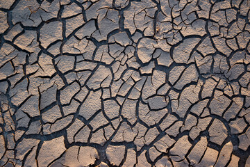 Dirt cracked into many pieces after drying in the sun, abstract background