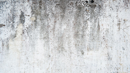 the texture of the walls is old due to continuous exposure to sunlight and rain