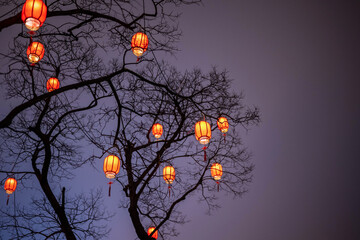 Red lantern hanging on dead tree branch