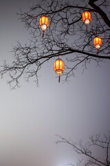 Red lantern hanging on dead tree branch