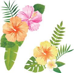 Fototapeta na wymiar 花　ハイビスカス　植物　アイコン　飾り　あしらい　夏　水彩　イラスト素材セット