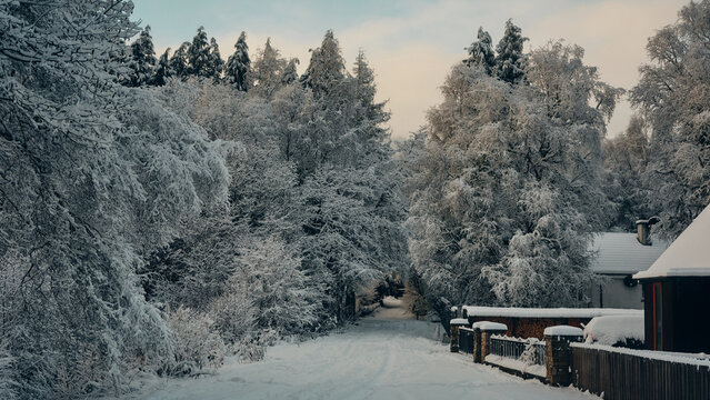 winter landscape in the village