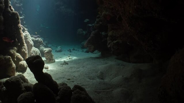 Explore Caves in the Saint John's Reef in the Red Sea in Egypt