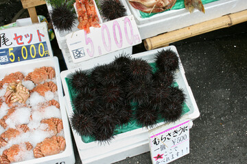 函館朝市で店頭に並ぶウニ