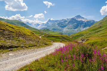 Mountain hiking path, landscape in Vanoise National Park, French Alps.