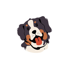 Happy Sennenhund avatar. Furry pup muzzle of Bernese Mountain dog. Cute puppy head portrait. Amusing doggy shows tongue. Funny domestic animal, fluffy pet. Flat isolated vector illustration on white