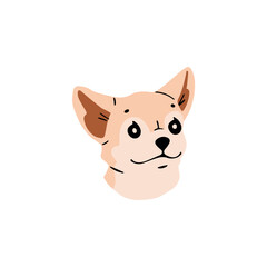 Cute Chihuahua avatar. Funny muzzle of toy breed puppy. Small dog face. Adorable pup snout portrait. Domestic animal companion. Happy pet smile. Flat isolated vector illustration on white background