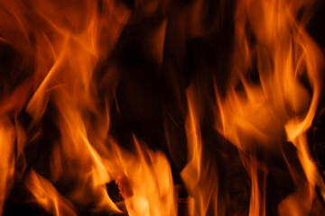 Raging orange flames of fire. Burning wood in the furnace. Bright flames devour the wood. Creative...
