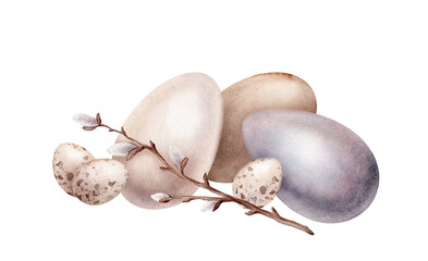 Chicken and quail eggs shell and willow branches. Symbols of Easter celebration. Design for card. Watercolor hand drawn painting illustration isolated on a white background. Minimalistic pastel color