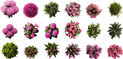 Set of top view of flower bushes isolated on white background. - obrazy, fototapety, plakaty