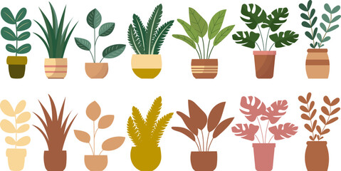 flowers in flowerpots, on a white background vector