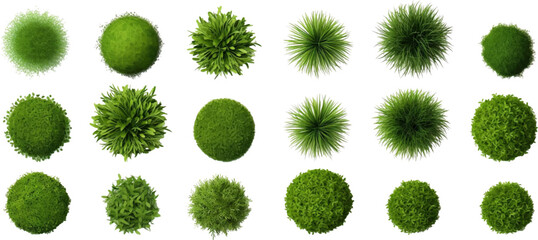 Set of top view of grass bushes isolated on white background. - obrazy, fototapety, plakaty