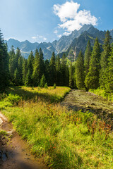 Obraz premium Bielovodska dolina valley with peaks above in High Tatras mountains in Slovakia