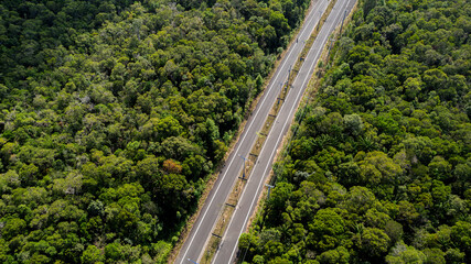 Aerial view of a dual carriageway road cutting through a dense tropical rainforest, representing...