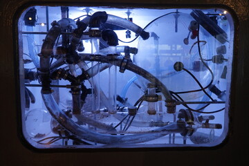 Obraz premium A blue-lit aquarium with insects.