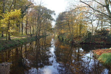 Forest in autumn with reflection of the trees in the water, path. November near the village of Bergen, Netherlands