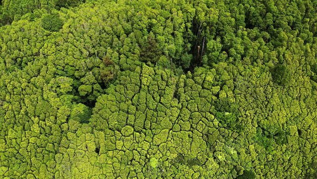 Drone fly over Poco da Ribeira on cloudy day in F Island, azores archipelago