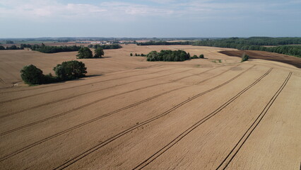 zboża © fasi79