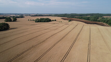zboża © fasi79