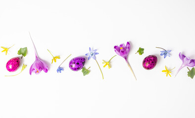 Happy Easter. Colorful quail eggs and flowers crocus isolated on a white background. Flat lay, top...