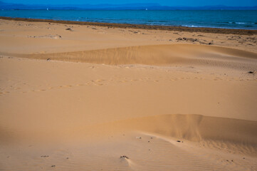 The wild beach of Lignano Sabbiadoro Dune coasts before the arrival of tourists.