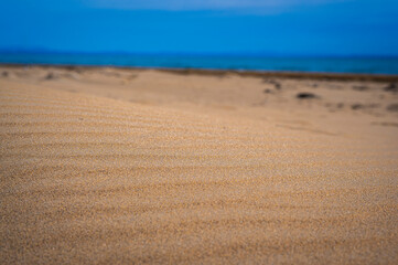 The wild beach of Lignano Sabbiadoro Dune coasts before the arrival of tourists.