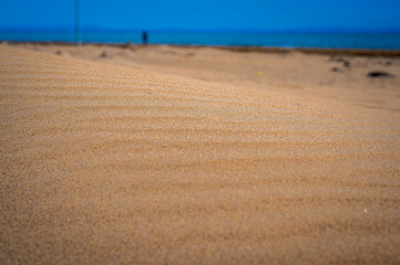 The wild beach of Lignano Sabbiadoro Dune coasts before the arrival of tourists.