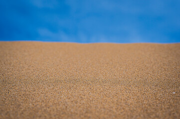 The wild beach of Lignano Sabbiadoro Dune coasts before the arrival of tourists.