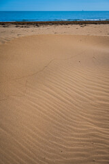 The wild beach of Lignano Sabbiadoro Dune coasts before the arrival of tourists.