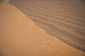 The wild beach of Lignano Sabbiadoro Dune coasts before the arrival of tourists.
