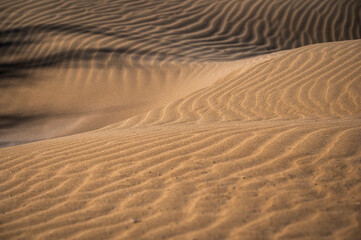The wild beach of Lignano Sabbiadoro Dune coasts before the arrival of tourists.