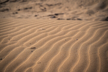 The wild beach of Lignano Sabbiadoro Dune coasts before the arrival of tourists.