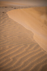 The wild beach of Lignano Sabbiadoro Dune coasts before the arrival of tourists.