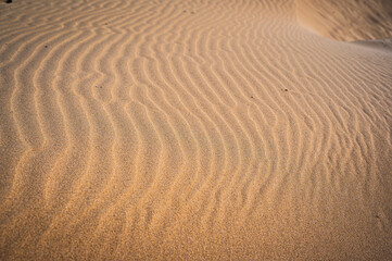 The wild beach of Lignano Sabbiadoro Dune coasts before the arrival of tourists.