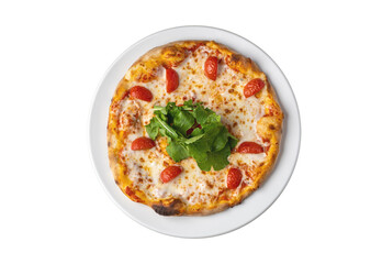 Delicious hot homemade pizza on white background