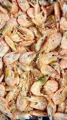 Shrimp, fresh red shrimp. Shrimp background.