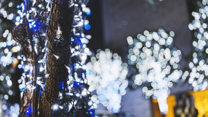Every winter, Roppongi Hills welcomes the Roppongi Hills Christmas Carnival. Tthe Kasumizaka boulevard stretches for about 400 meters and is illuminated by about 800,000 LED lights.