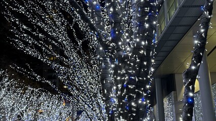 Every winter, Roppongi Hills welcomes the Roppongi Hills Christmas Carnival. Tthe Kasumizaka boulevard stretches for about 400 meters and is illuminated by about 800,000 LED lights.