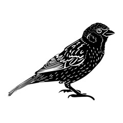 Naklejka premium Sparrow isolated vector illustration in linocut style. Vintage stamp design for print. Use for your creative graphic design projects, lithographs, postcards, invitations, tattoos.