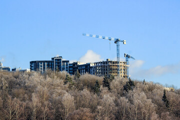 Fototapeta na wymiar New buildings rising above the treetops, city growth