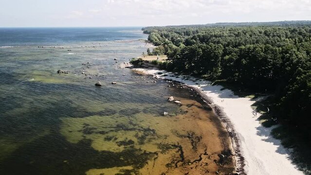 aerial view of beach
