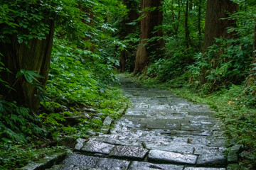 雨の日の山道　ハイキングコース