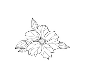 Outline flower design for stained glass, coloring and decoration.