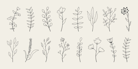 Set of minimal leaves. Hand drawn botanical decorative elements. 