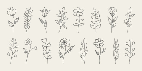 Set of floral botanical doodle. Minimal branches with flowers and leaves. Hand drawn botanical decorative elements.  - obrazy, fototapety, plakaty