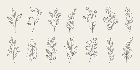 Set of hand drawn branches and leaves. Doodle style minimalistic and elegant leaves. Botanical line drawing vector.